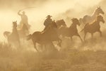 Applying the lessons of open source to generative AI